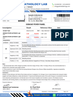 Positive Dengue Fever Test