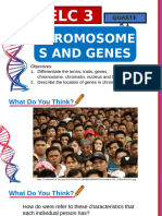 Genes and Chromosomes