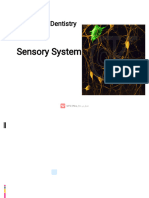 Sensory System