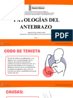 Patologías del antebrazo .pdf