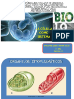 Semana 4-8 Biologia 3er Año (Noviembre)