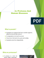 Parasitic Protozoa and Human Diseases