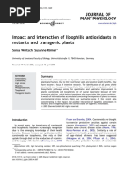 Impact and Interaction of Lipophilic Antioxidants in Mutants and Transgenic Plants