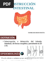 Obstruccion Intestinal