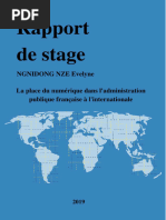 Evelynen Rapport de Stage Ife - Compressed