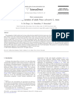 In Vitro Regeneration of Adult Pinus Sylvestris