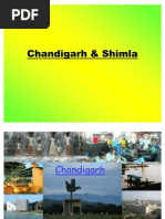 Chandigarh & Shimla