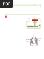 5C S12 Respiracion Pulm