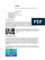 Formación Profesional Del Psicólogo y Sus Diferencias Con Otros Profesionales