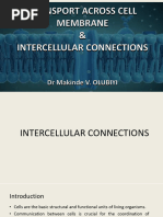 INTRACELLULAR CONNECTIONS & MEMBRANE TRANSPORT Med UR Year 1