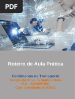 Roteiro de Aula Prática Fenomo e Transporte