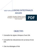 Occlusions Intestinales Aigues-1