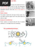 2-Bio Cell FMDM 2