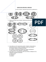 Ejercicios Tema 1 Mitosis y Meiosis