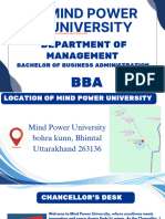 BBA ppt (1).pdf