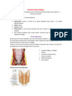 Anatomía Ginecológica