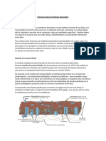 Estructura de La Membrana y Transporte