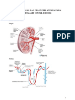 Anemia Pada CKD