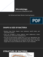 L-2 Structure of Bacterial Cells