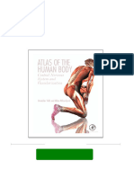 Buy Ebook Atlas of The Human Body: Central Nervous System and Vascularization Branislav Vidić Cheap Price