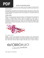 Groups of Microorganism - 062035