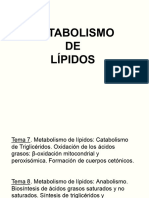 8-Metab Lípidos