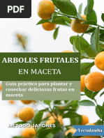 Arboles Frutales en Maceta - Hendry Agencia Black