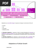 Cellular Adaptations - Compressed