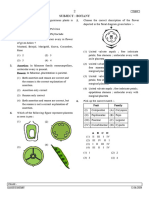 Morphology Test