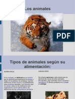 Presentacionanimales 090420051303 Phpapp01