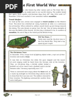 t2 e 5049 The First World War Differentiated Reading Comprehension Activity - Ver - 3