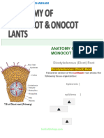 6 Anatomy of Flowering Plants PPT - Part 4