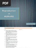 Chapter 16 Reproduction in Humans