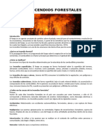 Los Incendios Forestales