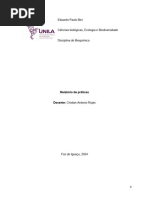 Relatório Das Aulas Práticas - Eduardo Paulo Bini