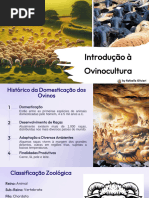 Aula 1. Introduo e Raas de Ovinos