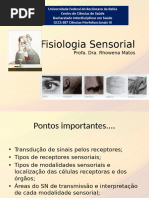 Sistema Nervoso 2 - Fisiologia Sensorial Resumido