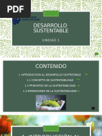 Clase 01 Unidad 1 Introduccion Al Desarrollo Sustentale Nice