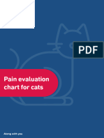 Pain Evaluation Chart For Cats en LR Global