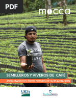 Semilleros y Viveros de Cafe