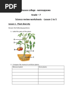 Science Review Worksheets For Grade 7