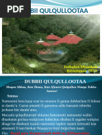 Dubbii Qulqullootaa 20-1