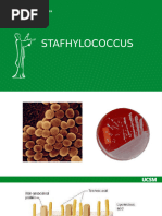 Staphylococcus