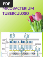 Ii 4. Tuberculosis