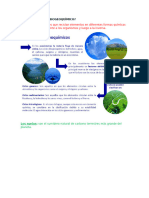 Qué Es Un Ciclo Biogeoquímico