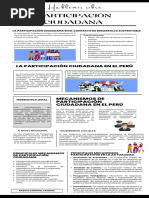 Infografía Participación Ciudadana