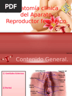 Anatomía Clínica Del Aparato Reproductor Femenino