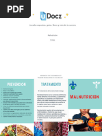 Folleto Malnutricion 181351 Downloadable 5953791