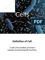 1-Cells and Cell Theory