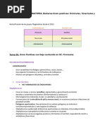 Bloque Iii